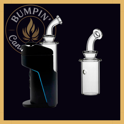 Calibear Dry Glass Attachment for Dr. Dabber Switch Go