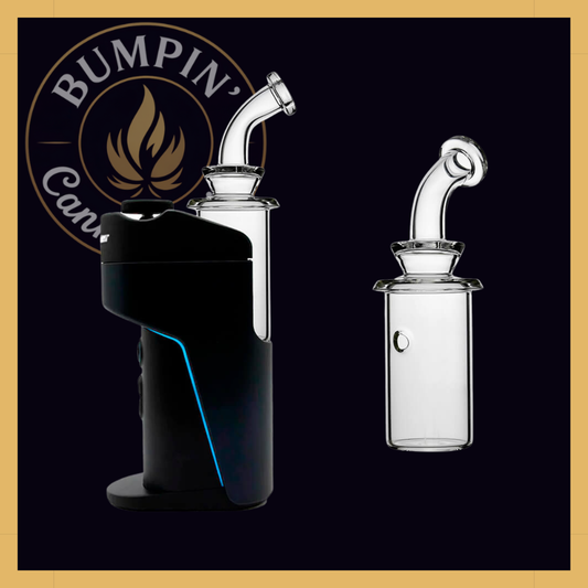 Calibear Dry Glass Attachment for Dr. Dabber Switch Go
