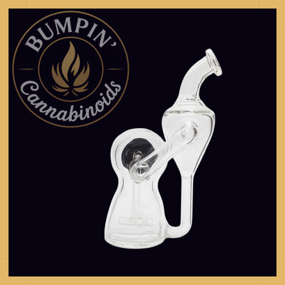 Modül Dok Glass - Recycler II
