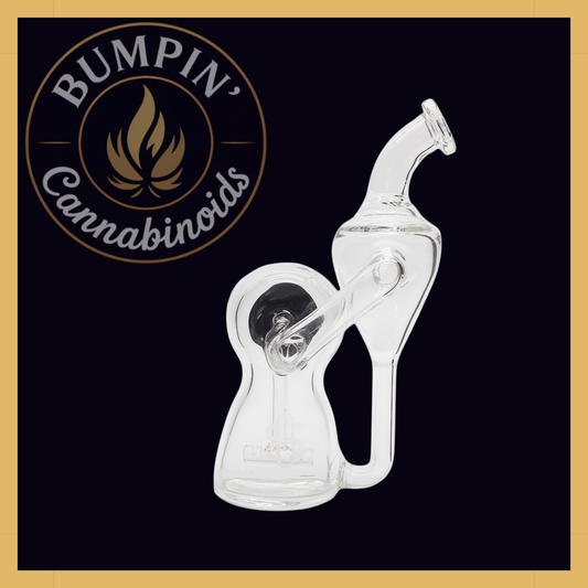 Modül Dok Glass - Recycler II