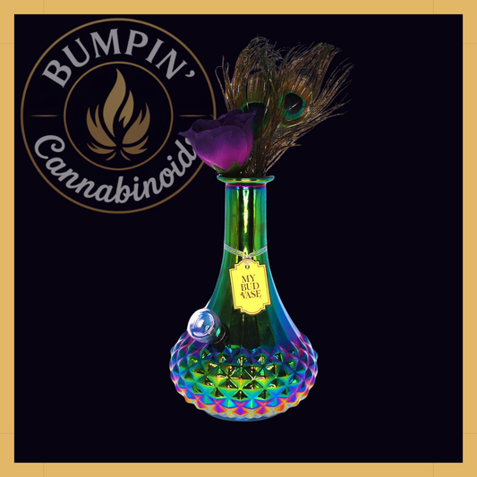 Aurora My Bud Vase – Iridescent Rainbow Finish - Bumpin' Cann
