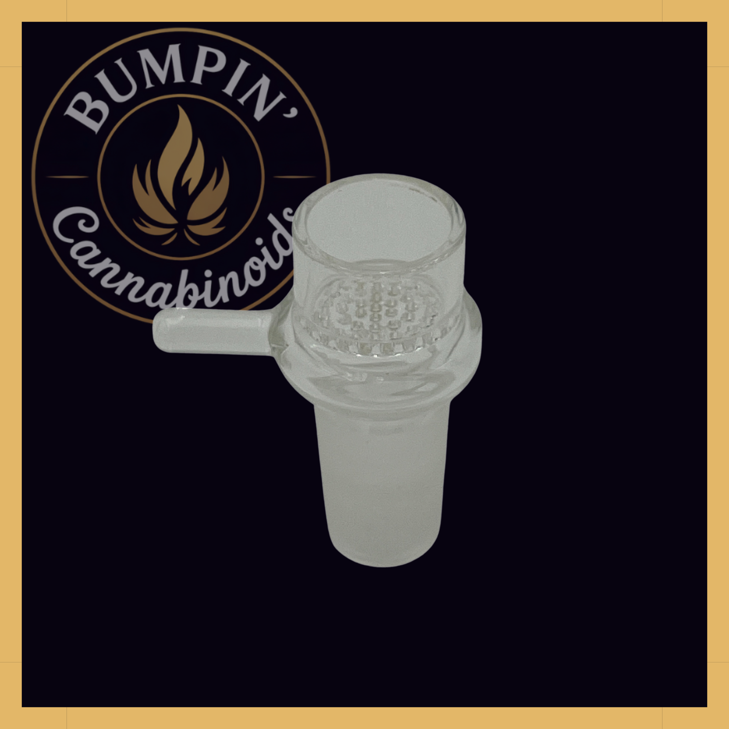 Terp Chasers Club - Glass Bowl Full