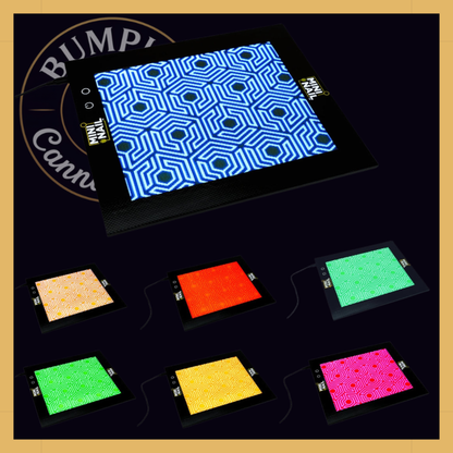 Backlit SlabPad