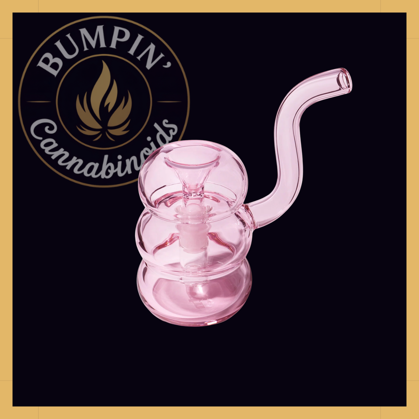 NWTN Home Bolla Bubbler