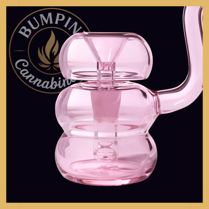 NWTN Home Bolla Bubbler
