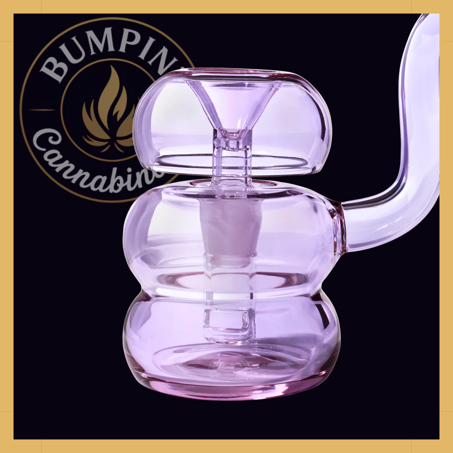 NWTN Home Bolla Bubbler