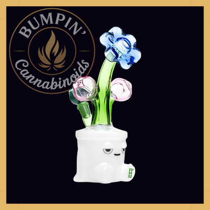 Bloom XL Glass | Hemper