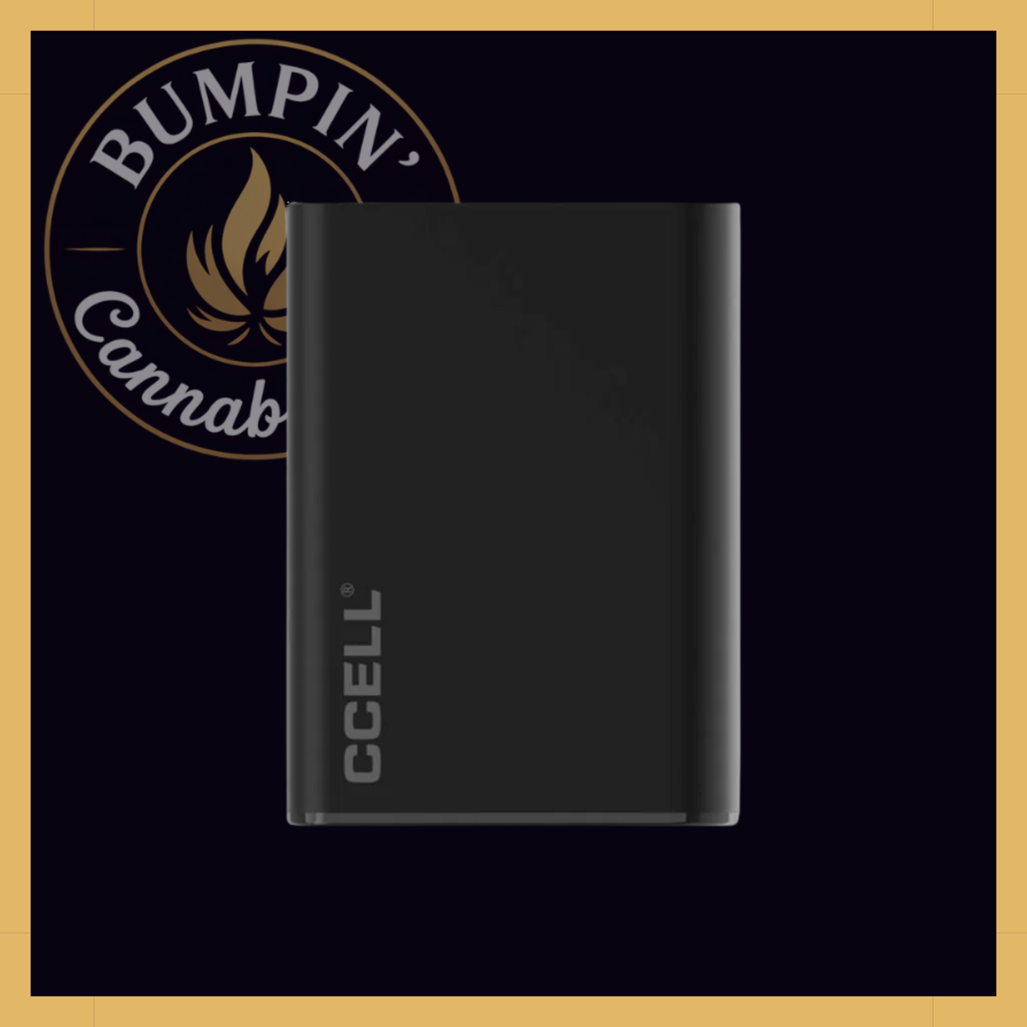 CCELL Palm Pro