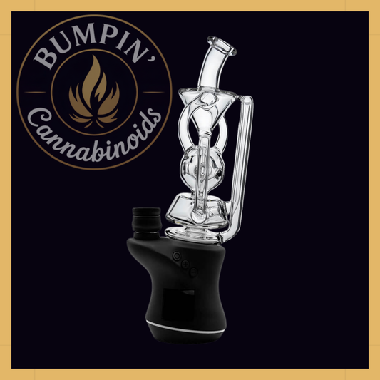 Swiss Fab Recycler Glass Attachment | Calibear