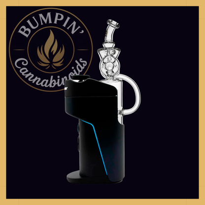 Calibear Dual Donut Recycler Glass Attachment