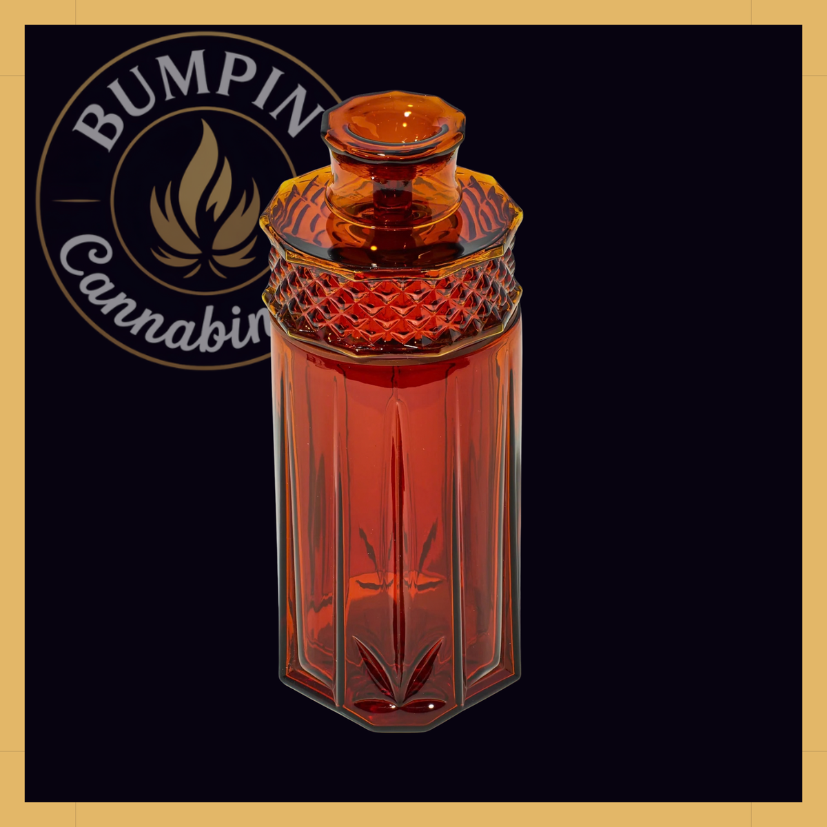 NWTN Home Highball borosilicate glass gravity system - Baltic Amber