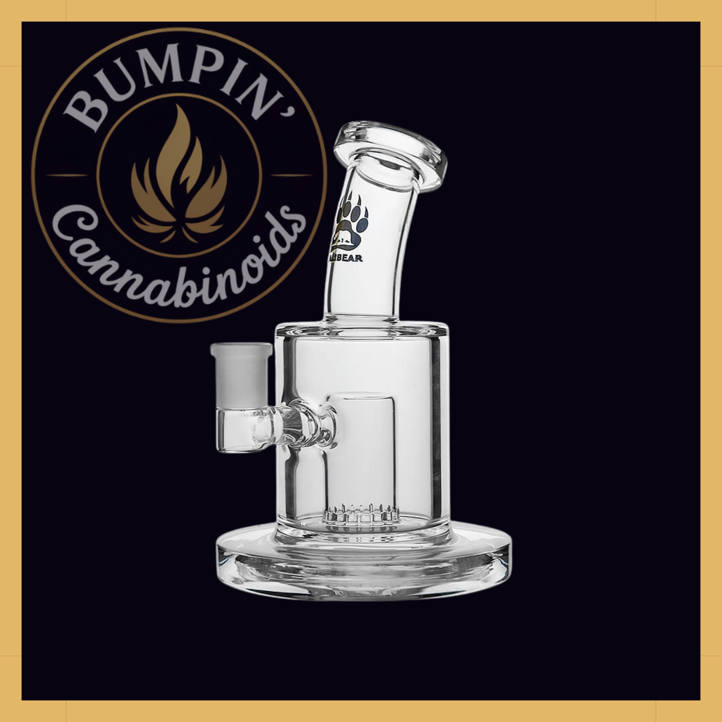 Thick Dab Rig with Slitted Can Perc | Calibear