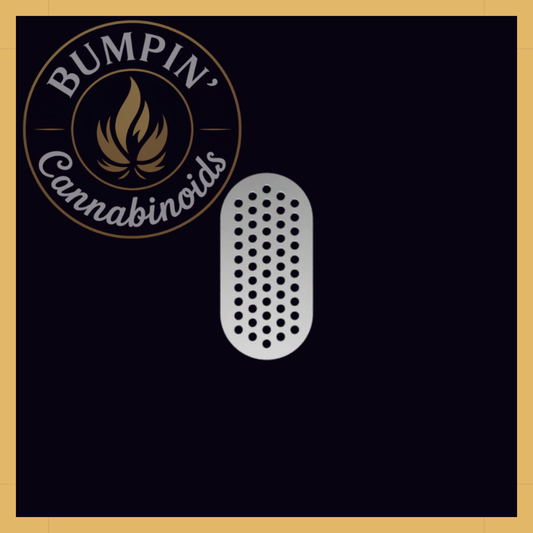 G Pen Dash+ Mouthpiece Filter Screens, 5-Pack