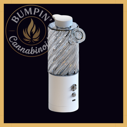 FunFuse e-Rig – Portable Electric Dab Rig with Glass Bubbler - Bumpin' Cann