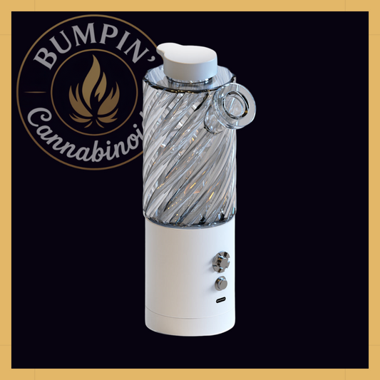 FunFuse e-Rig – Portable Electric Dab Rig with Glass Bubbler - Bumpin' Cann