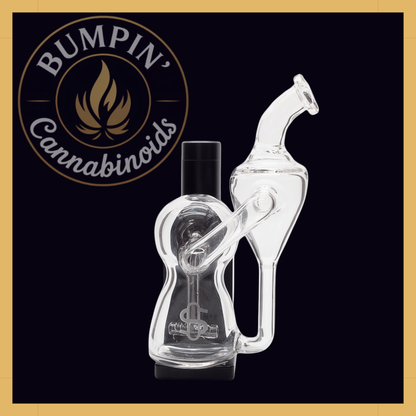 Modül Dok Glass - Recycler II