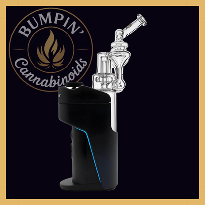 Calibear Switch Go DUO RBR glass with dual recycler pathways