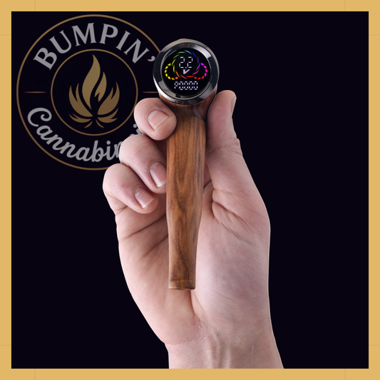 Cartisan The Inspector