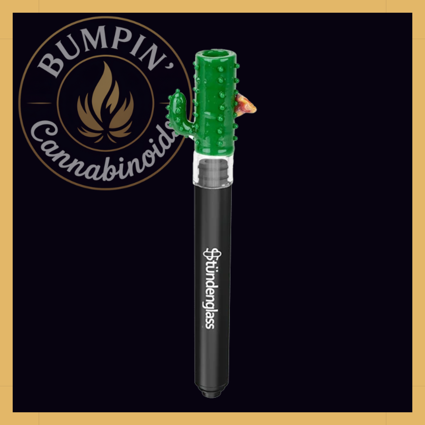 Hose Tip Cactus | Stündenglass