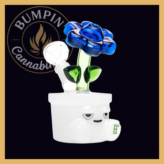 Bloom Glass | Hemper