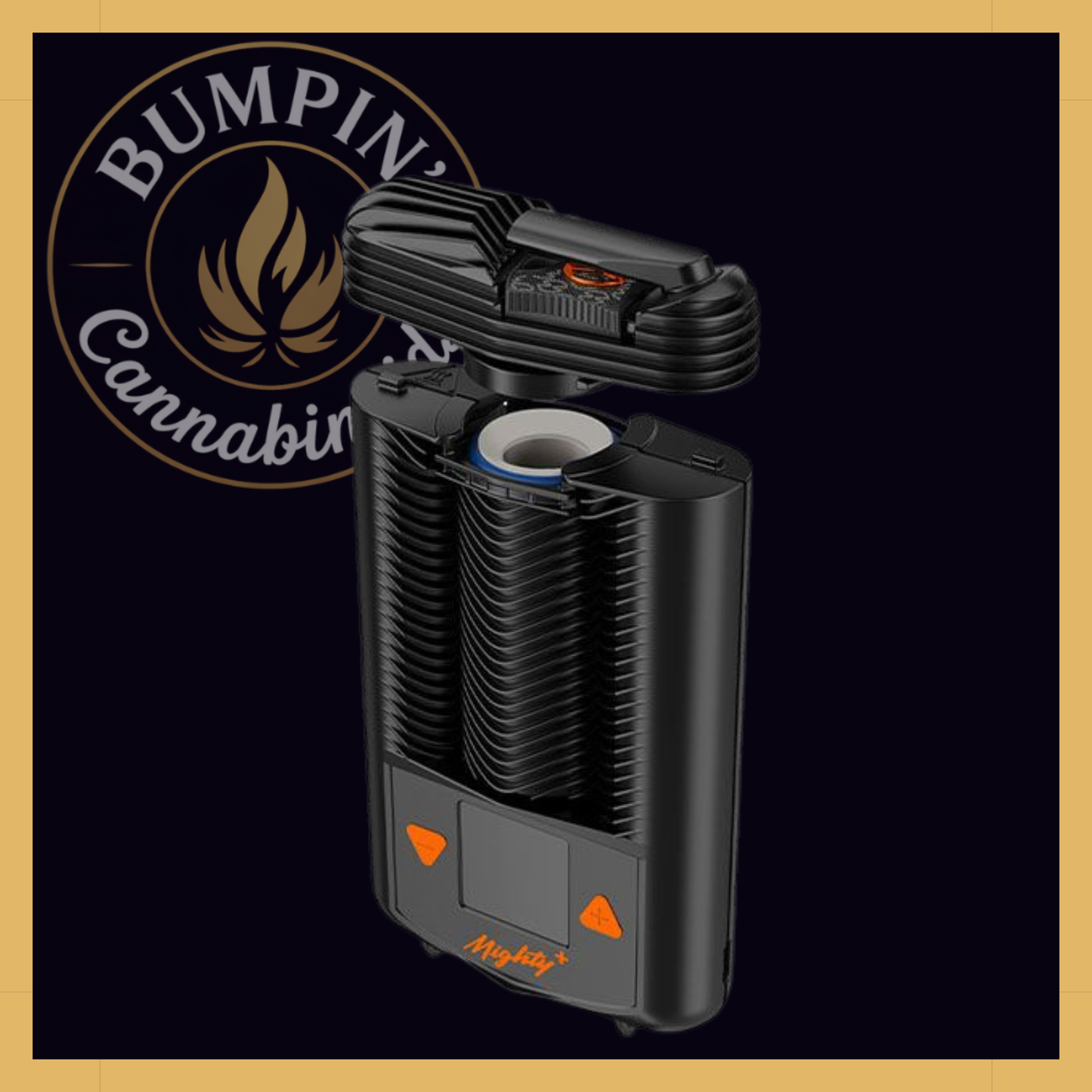 Storz & Bickel Mighty+