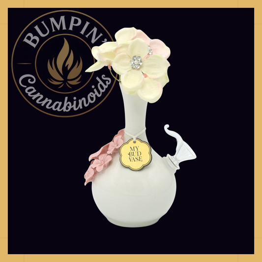 Friends My Bud Vase – Monica | Rachel | Phoebe - Bumpin' Cann
