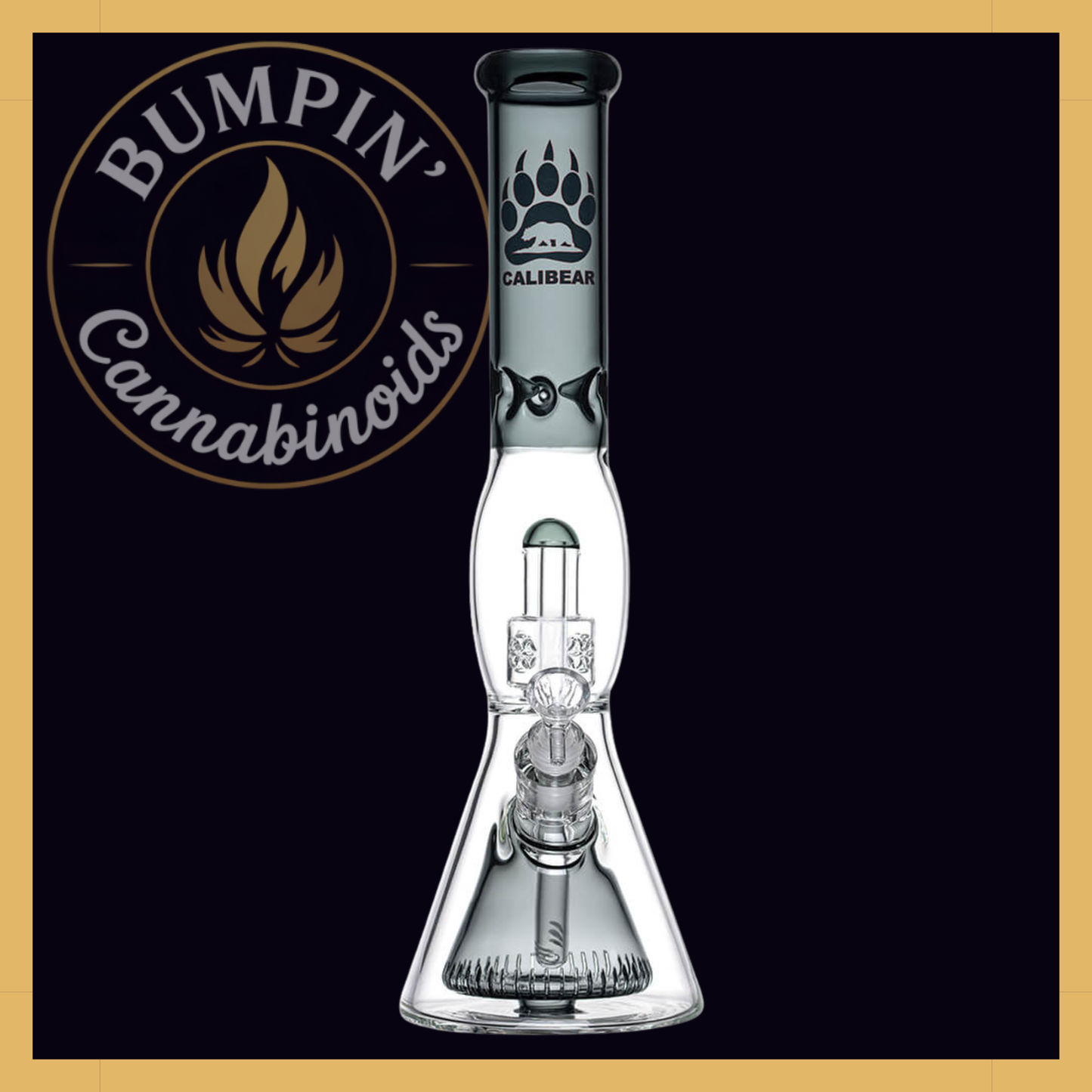Calibear 16" Sol Collins Beaker Glass | Seed of Life & Collins Perc Water Pipe