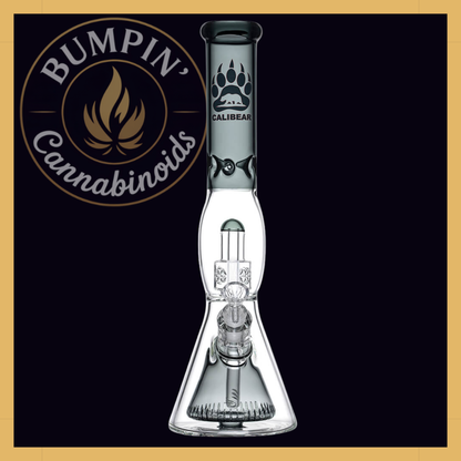 Calibear 16" Sol Collins Beaker Glass | Seed of Life & Collins Perc Water Pipe