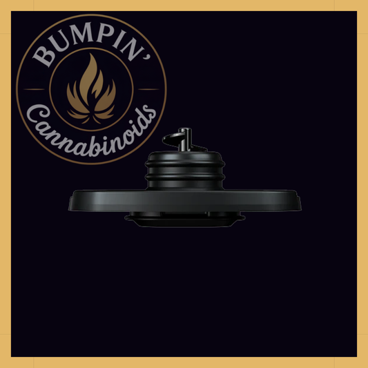 G Pen Dash+ Mouthpiece Insert