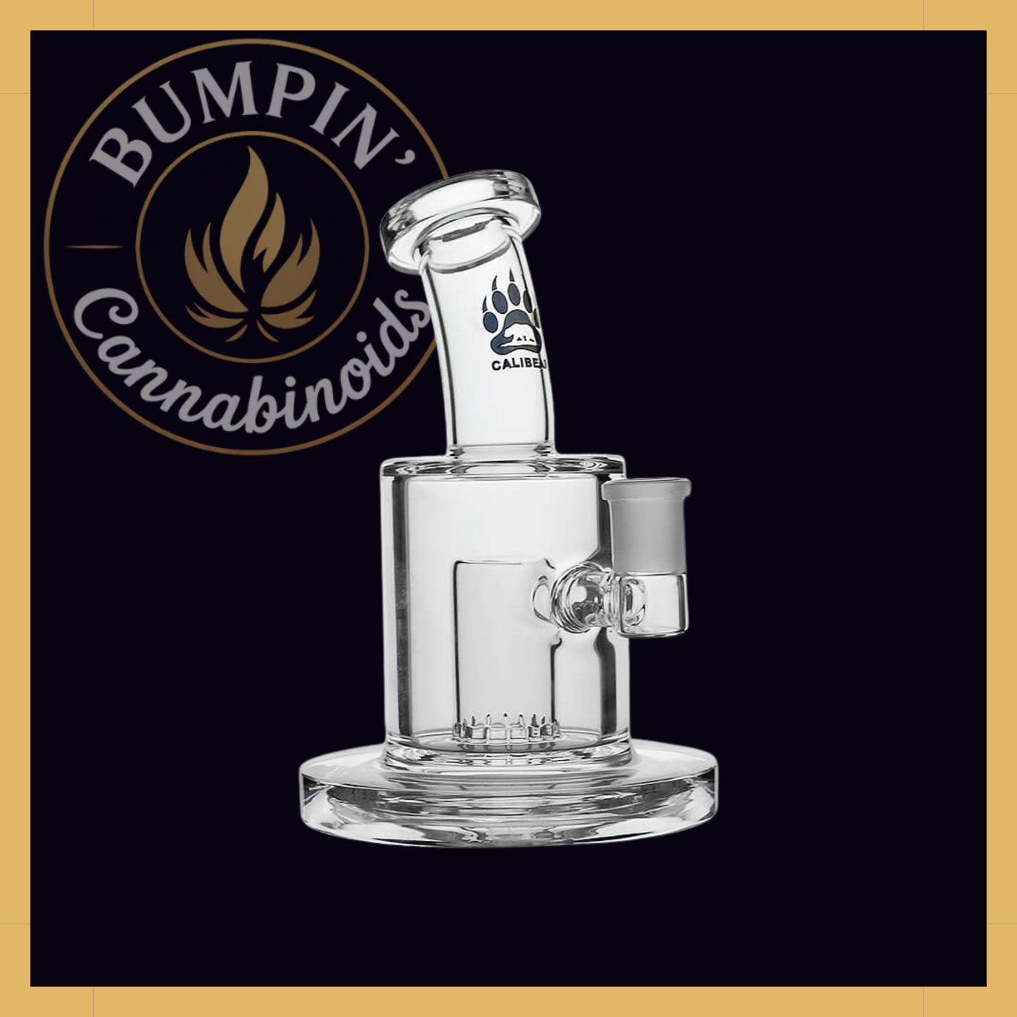 Thick Dab Rig with Slitted Can Perc | Calibear