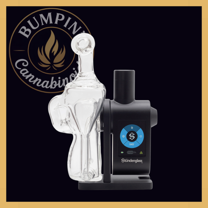 Modül Dok Glass - Recycler II