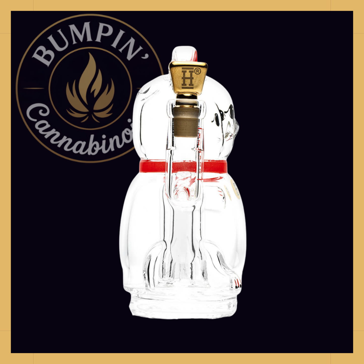 Lucky Money Cat – Peak Top