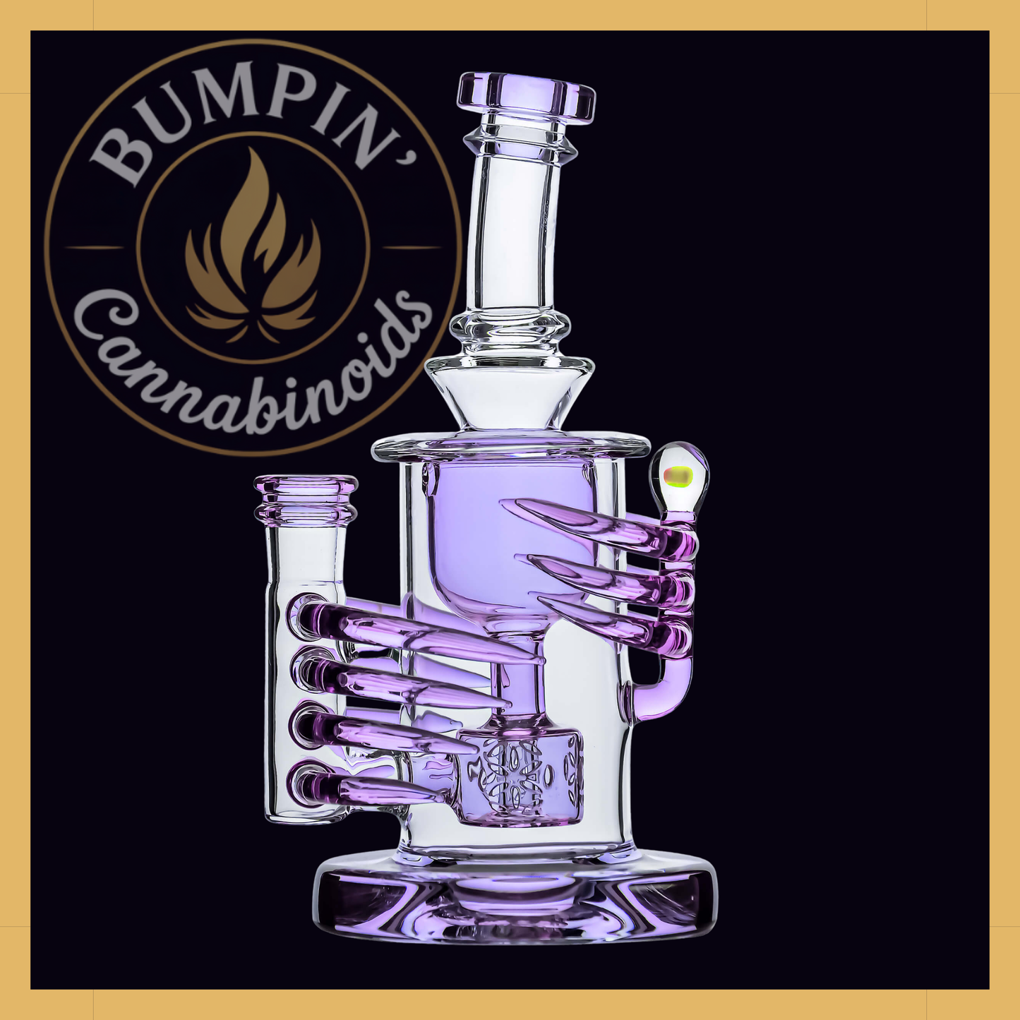 Calibear Horn Torus | 7" Glass Rig
