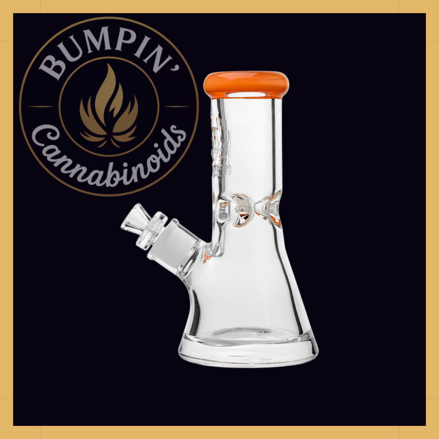 CaliBear Classic 9mm Beaker Glass - 8" | Etched Logo & Color Lip