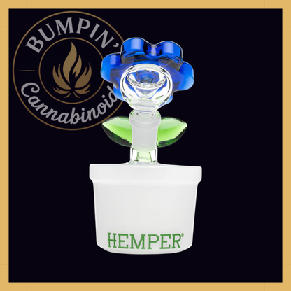 Bloom Glass | Hemper