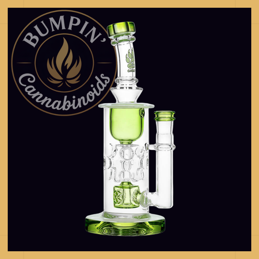 Calibear Straight Fab Torus Glass Rig | Seed of Life Perc