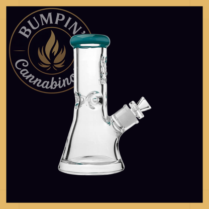 CaliBear Classic 9mm Beaker Glass - 8" | Etched Logo & Color Lip