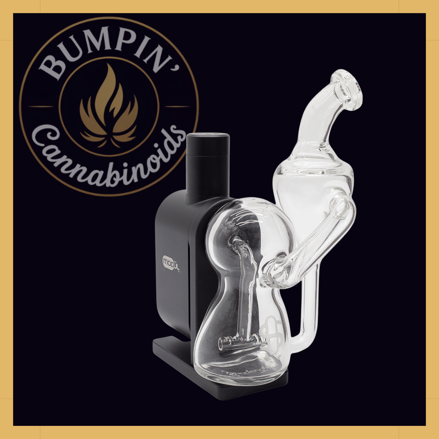 Modül Dok Glass - Recycler II