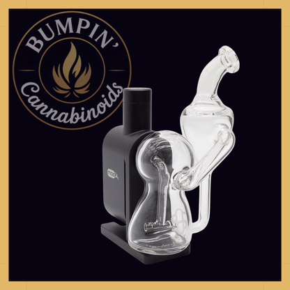 Modül Dok Glass - Recycler II