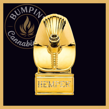 Hemper Egypt XL Glass showerhead percolator