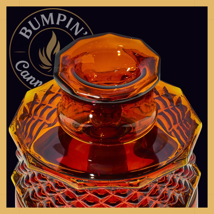 NWTN Home Highball borosilicate glass gravity system - Baltic Amber
