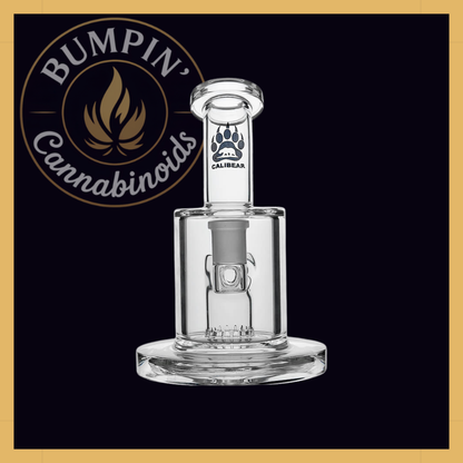 Thick Dab Rig with Slitted Can Perc | Calibear