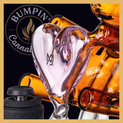 MJ Arsenal Teddy – Peak Top