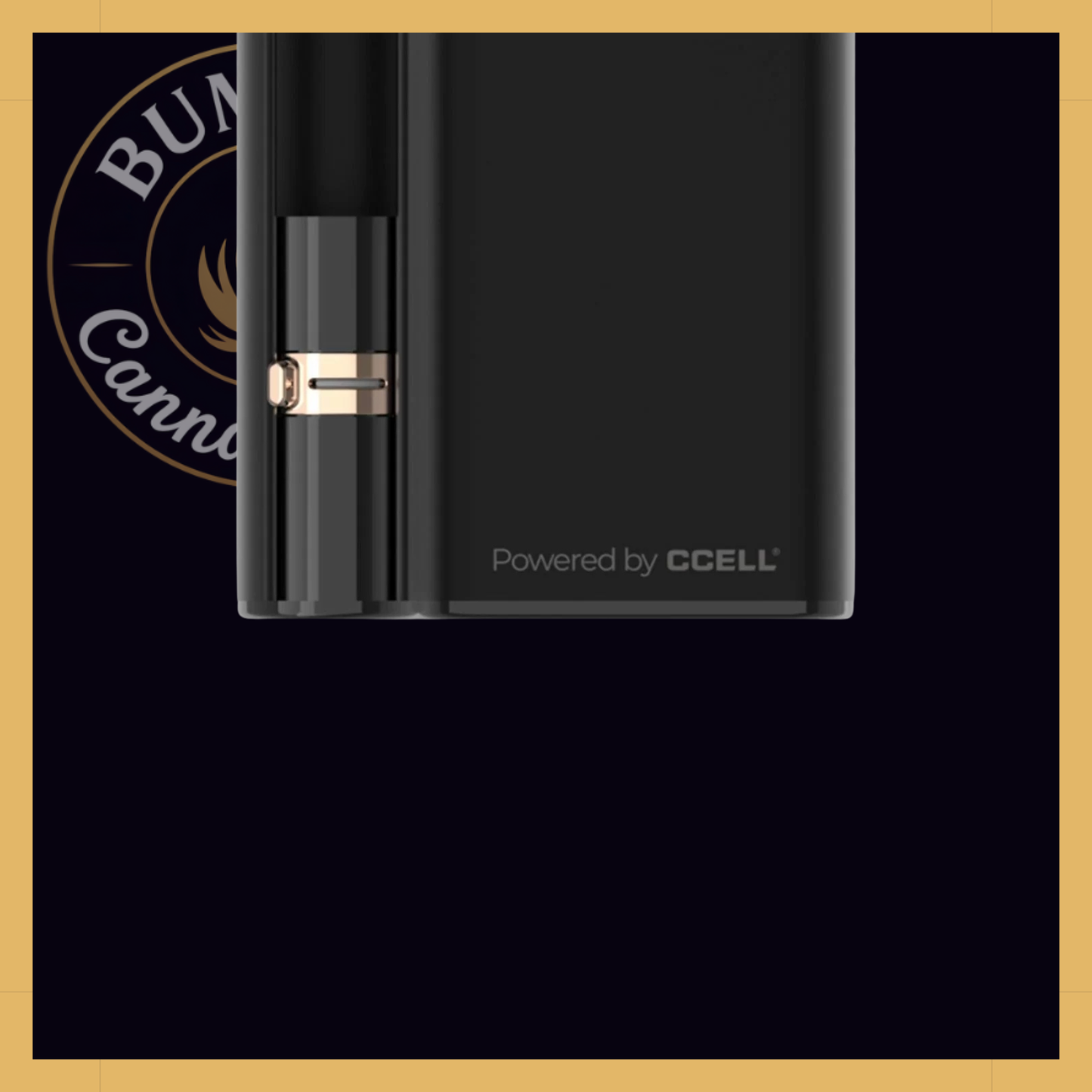 CCELL Palm Pro