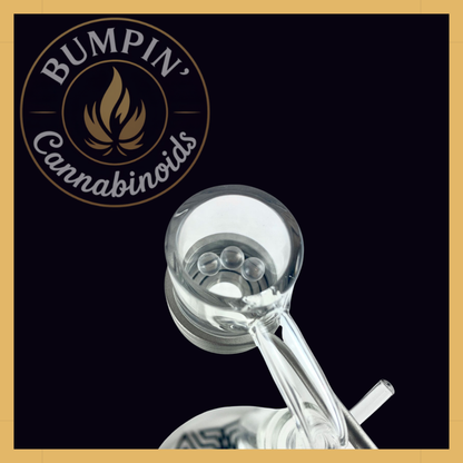 Quartz Terp Pearl 3-Pack