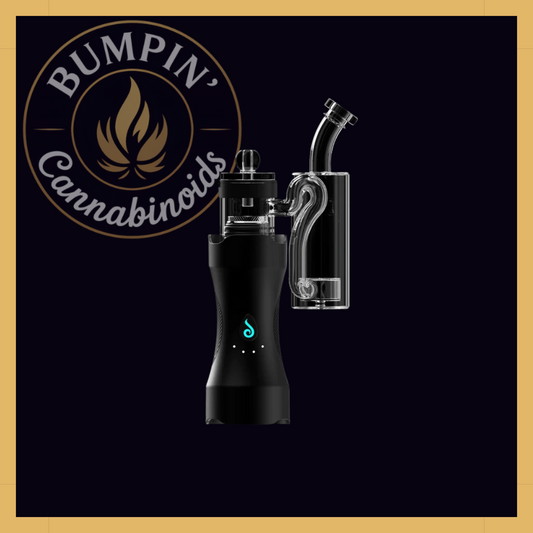 Dr. Dabber XS™ Fractal Sidecar Glass Attachment