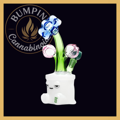 Bloom XL Glass | Hemper