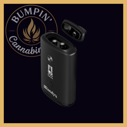 Randy's Inspo Dual 510 Battery