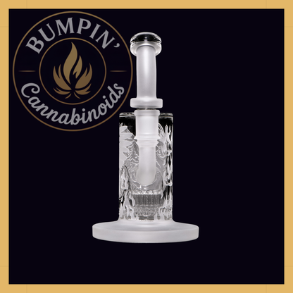 Phoenix 6" Clear Dab Rig