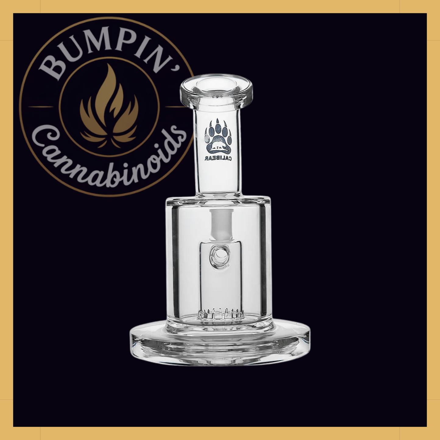 Thick Dab Rig with Slitted Can Perc | Calibear